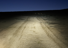 Ultinon Classic​ comparison